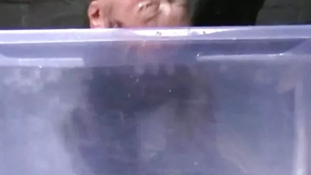 Khiêu dâm, không giấy đăng ký  A young bitch cho một thổi kèn cho một già thợ mộc và fim sec hd fuck anh ta trong nhà để xe